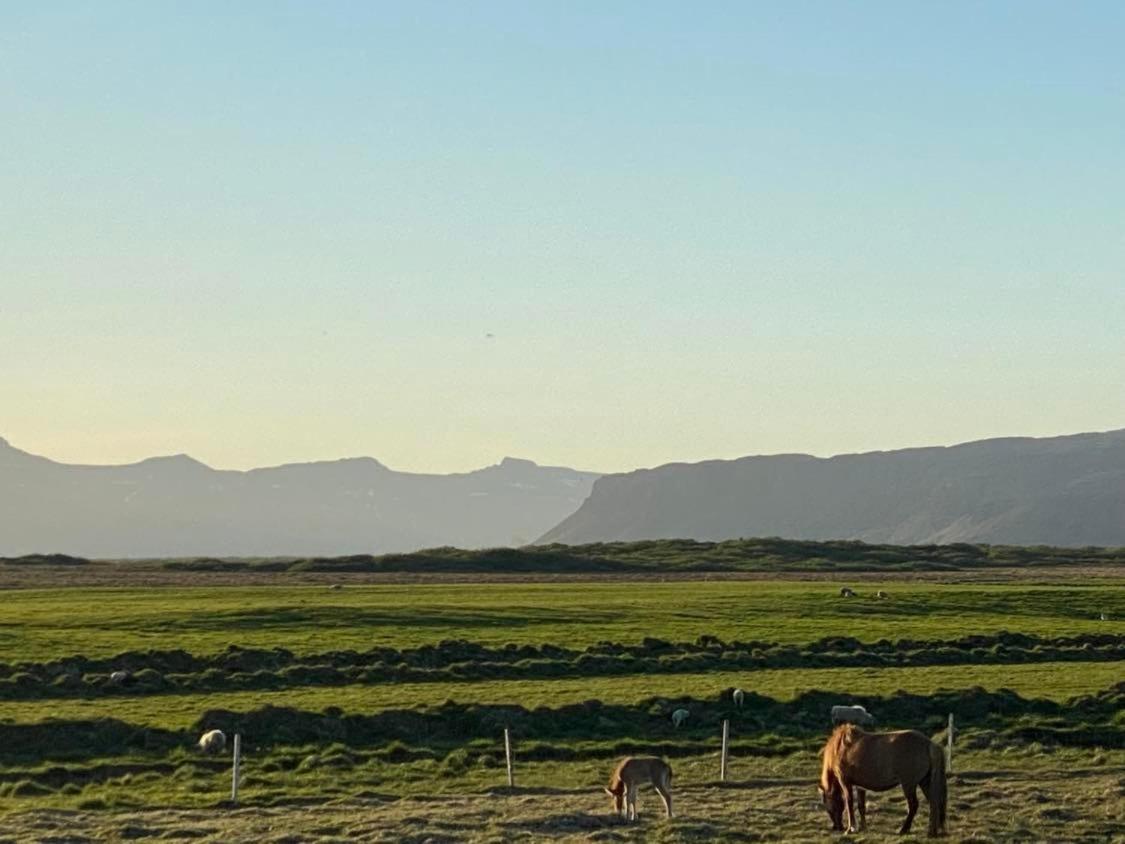 Alftartunga Farm Guesthouse 보르가네스 외부 사진